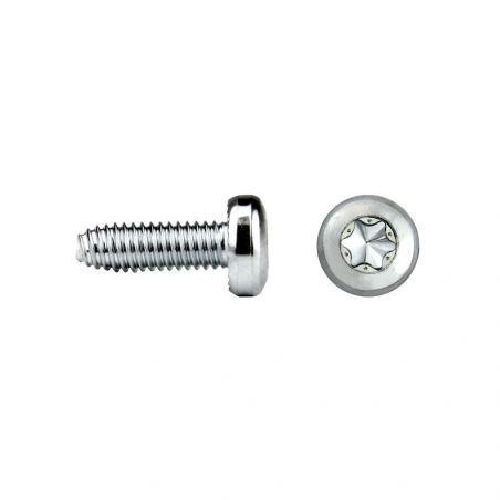 FASTITE®2000™ FT85T screw pan head TORX®