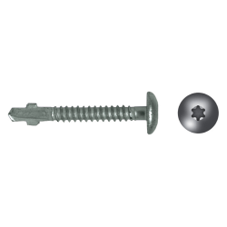 Self-drilling screw with wings CBTON